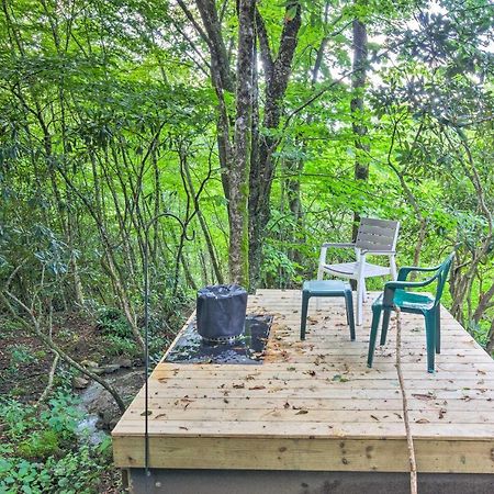 Peaceful Spruce Pine Cabin On 8 Acres With 2 Decks! Екстер'єр фото